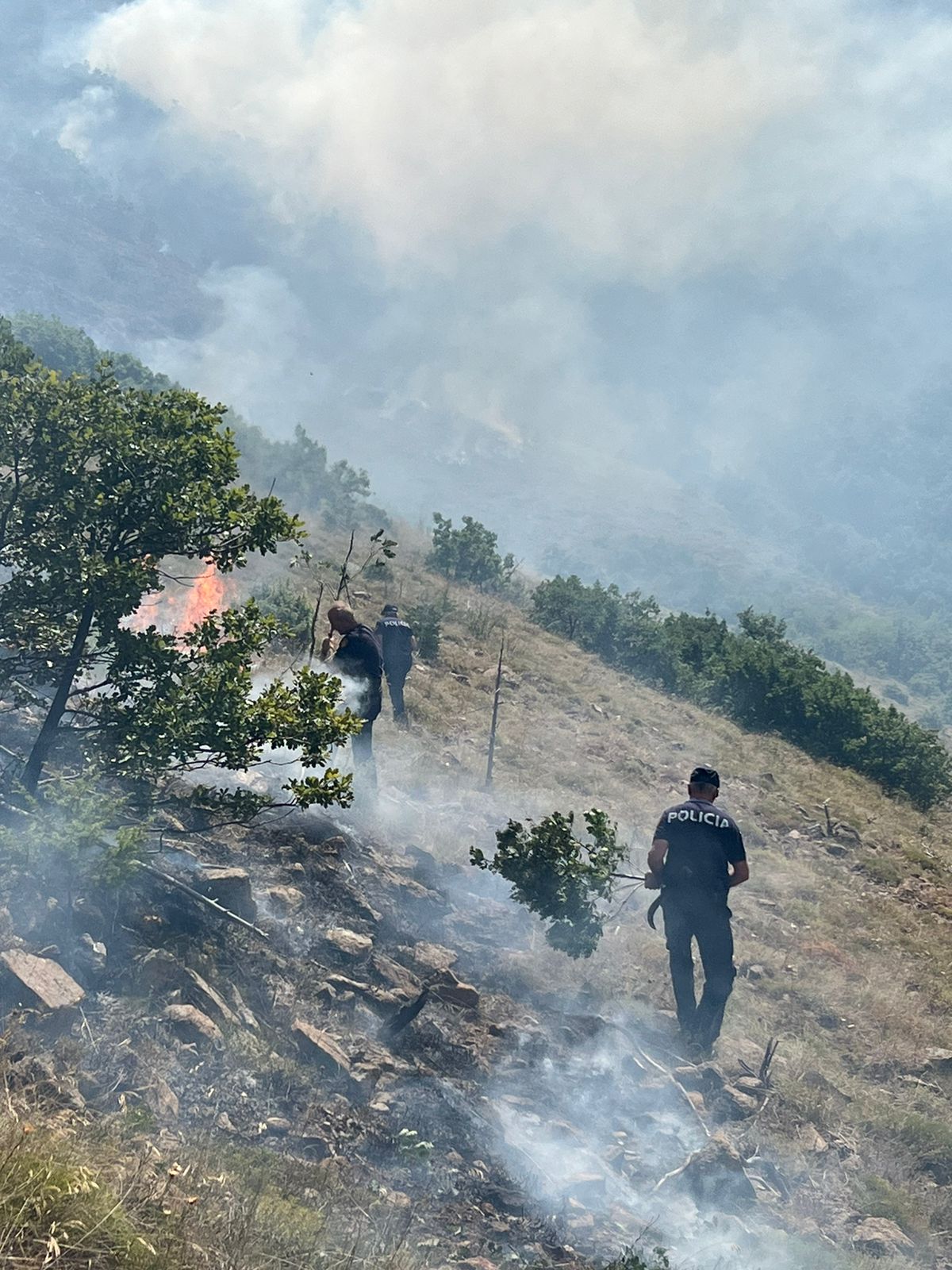 VIDEO/ Zjarri në Tropojë dhe Has, zjarrfikëset ndërhyjnë për shuarjen e flakëve