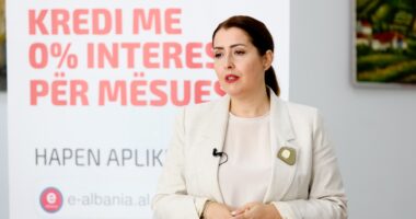 Kredi të buta për mësuesit/ Manastirliu: Aplikimet në e Albania, do të zgjasin deri më 14 gusht