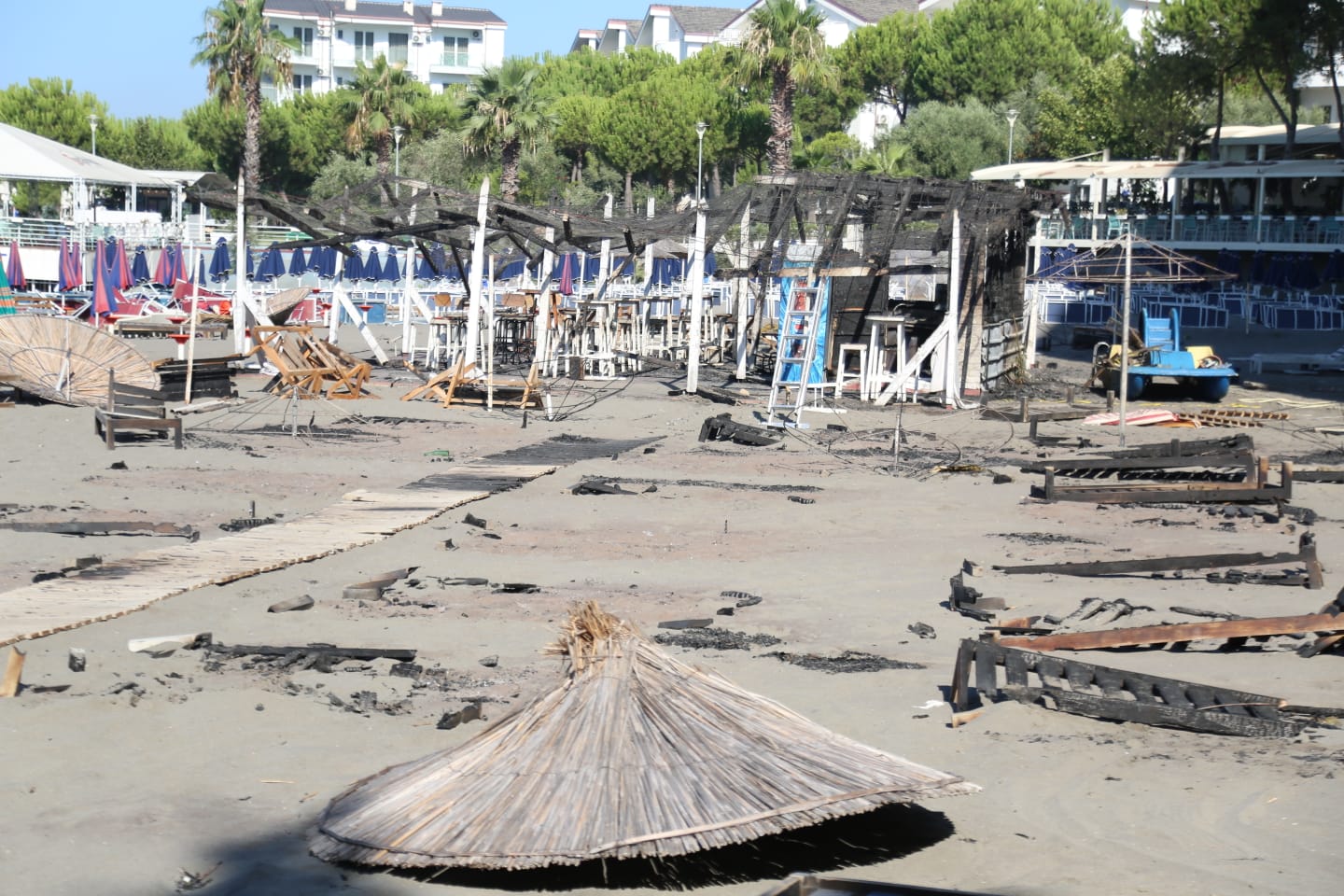 FOTO/ Sipërfaqe pyjore të shkrumbuara, dëme edhe në bizneset pranë plazhit/ Çfarë lanë pas flakët në Shëngjin