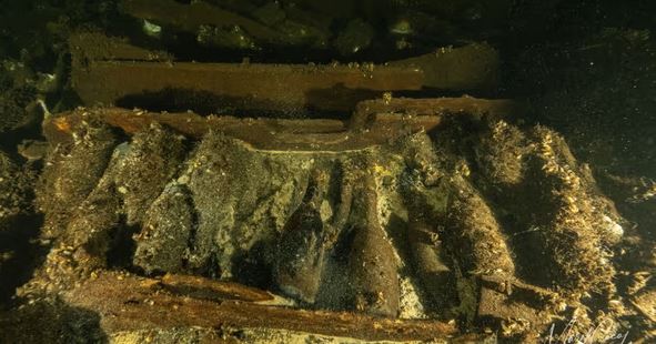 Zhytësit në Balltik gjejnë një anije të fundosur në shekullin 19-të plot me shishe shampanje