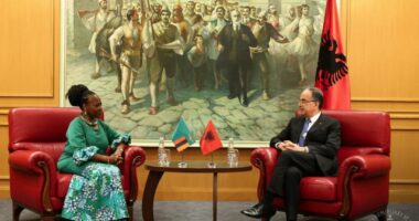 Presidenti Begaj takim me ambasadoren e Zambias, u diskutua për bashkëpunimin kundër organizatave ndërkombëtare