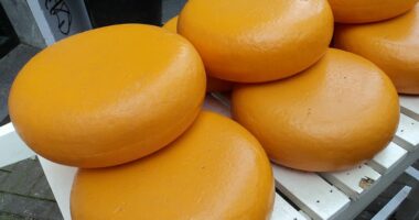 Një polic trafiku në Gjermani vodhi 180 kilogramë djathë nga vendi i një aksidenti dhe u pushua nga puna