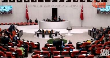 VIDEO/ Sherr në parlamentin turk, deputetët përplasen fizikisht