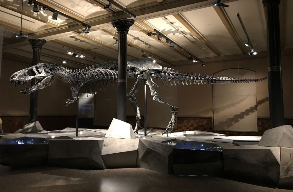 Skeleti i një dinosauri u shit për 44.6 milionë dollarë