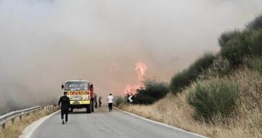 Zjarri në bashkitë Dropull dhe Finiq, era e fortë përkeqëson situatën