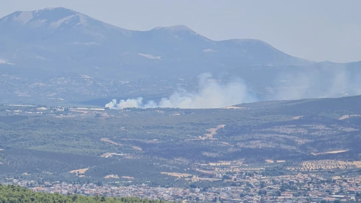 Zjarret në Greqi, regjistrohen sërish disa vatra në Evia, 11 avionë angazhohen për shuarjen e flakëve