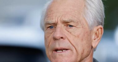 Ish-këshilltari i Trump, Peter Navarro lirohet nga burgu pas 4 muajsh