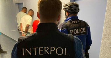 Interpoli arrestoi 300 kriminelë nga Afrika Perëndimore dhe konfiskoi tre milionë dollarë