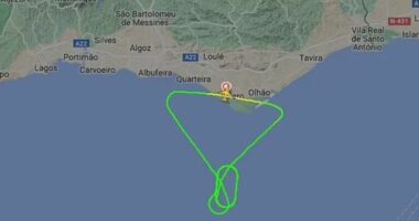 Avioni me 161 pasagjerë bën ulje të detyruar, u godit nga një zog