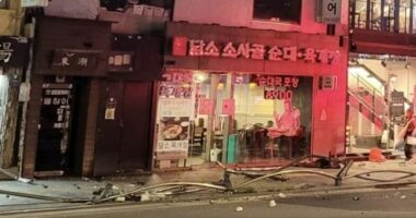 Kore e Jugut/ Makina godet këmbësorët në Seul, të paktën 9 viktima