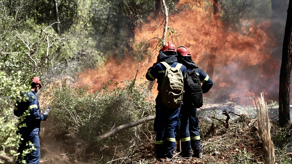 VIDEO/ Situata me zjarret në Greqi shqetësuese, tre zjarrfikës të lënduar, operacioni për shuarjen e flakëve vazhdon