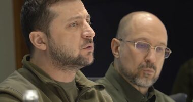 Volodymyr Zelensky është “lodhur” nga kryeministri ukrainas