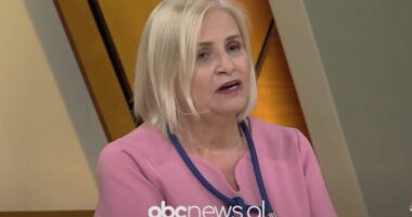 Sipërmarrjet/ Ikonomi: Kryesisht janë të vogla e të mesme. Ndërmarrjet e mëdha e kanë më të lehtë të vendosin standardet evropiane