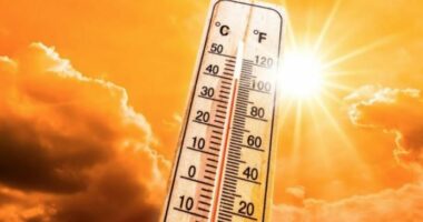 Parashikimi i motit/ Vijon i nxehti përvëlues, termometri do shënojë mbi 40 gradë Celsius
