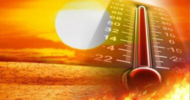 Shërbimi Evropian i Ndryshimeve Klimatike: Muaji i kaluar më i ngrohtë se çdo qershor tjetër