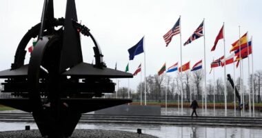 Sulmi në Rumani/ Reagon NATO: Dënojmë papërgjegjshmërinë e Rusisë
