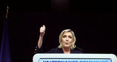 NATO e shqetësuar, Franca mund të tërhiqet nga komanda ushtarake e aleancës nëse fiton Le Pen