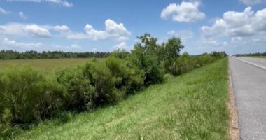 Foshnja “mrekulli”, 1-vjeçari mbijeton dy ditë i vetëm në autostradë