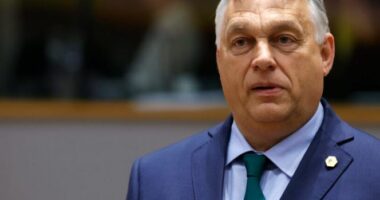 Eurodeputetët e Wilders do t’i bashkohen Orban