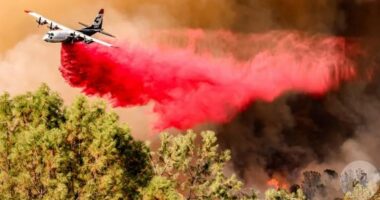 Vala e të nxehtit në SHBA/ 57 milionë njerëz nën alarm, temperaturat pritet të shkojnë 53 gradë