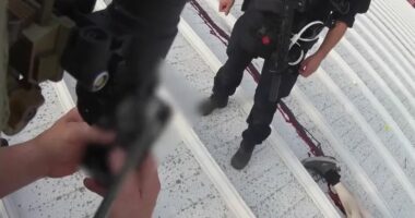 Atentati ndaj Trump/ Publikohen pamje të reja nga momenti kur autori 20 vjeçar gjendet i vdekur