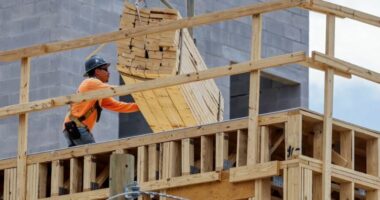 Valët e të nxehtit shkaktojnë miliarda dëme që nuk mbulohen nga sigurimet