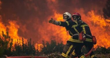 Temperaturat ekstreme/ Spanja, Italia dhe Franca të rrezikuara nga zjarret