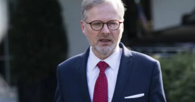 Kryeministri çek: T’i japim fund luftës hibride ruse në Europë