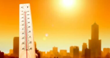 Regjistrohet muaji i 13 radhazi me nxehtësi rekord