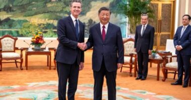 ANALIZA/ Pse Kina preferon demokratin Gavin Newsom ndaj Biden dhe Trump?