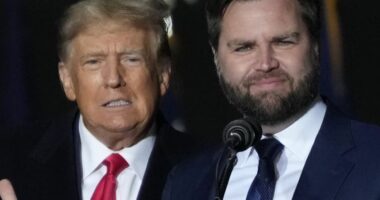 Kush është senatori që Trump e zgjodhi si kandidat për zv.president