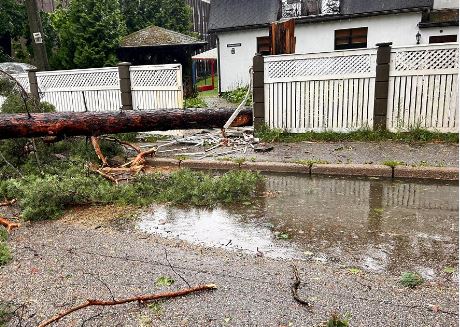 Stuhia godet vendet baltike/ Një i vdekur në Lituani, rreth 200,000 familje pa energji elektrike