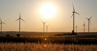 Raporti: Turbinat me erë dhe panelet diellore tejkalojnë lëndët djegëse. BE siguron 30% të energjisë prej tyre