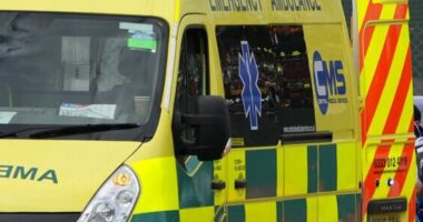 Tragjedi në Afrikën e Jugut/ Aksidentohet autobusi i shkollës, humbin jetën 12 fëmijë