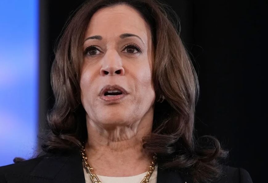 Kamala Harris mbledh 81 milionë dollarë në 24 orë