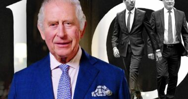 Çfarë ndodh kur mbreti Karl III takon kryeministrin e ri? Protokolli dhe ceremonia zyrtare