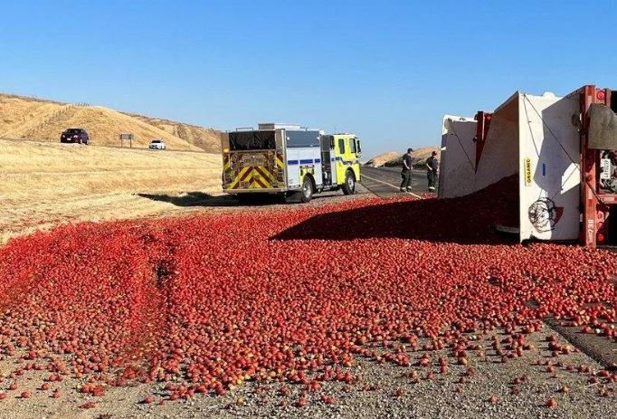 Përmbyset kamioni, autostrada e Kalifornisë mbulohet nga domatet