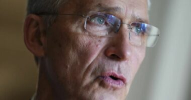 Stoltenberg: NATO ishte informuar paraprakisht për vizitën e Orban në Moskë