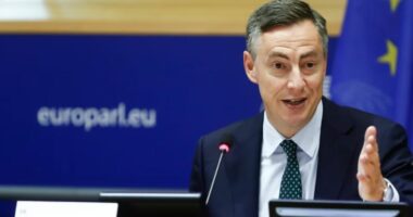 McAllister rizgjidhet në krye të Komisionit për Politikë të Jashtme të PE-së