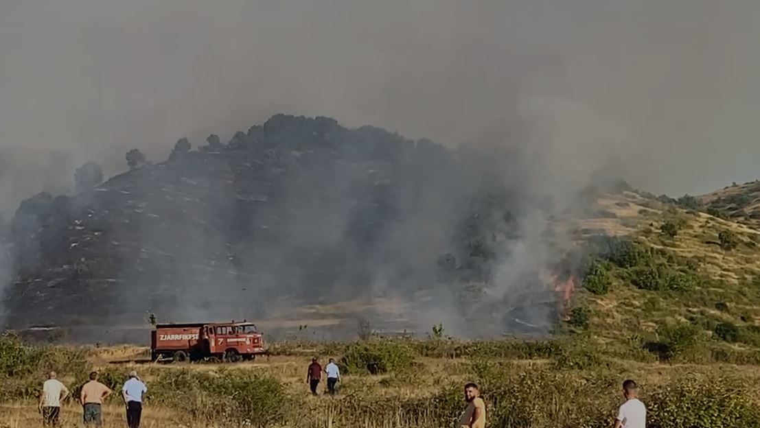 VIDEO/ Vatër zjarri në Pogradec, dyshohet e qëllimshme, zjarrfikësit ndërhyjnë për shuarjen e flakëve