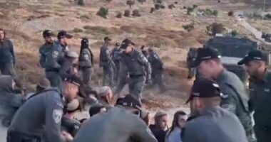 VIDEO/ Forcat izraelite përleshen me kolonët në Bregun Perëndimor