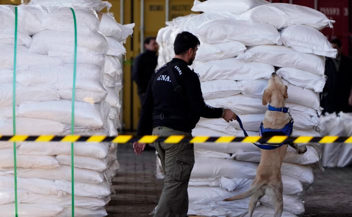 Me destinacion Belgjikën, kapet 220 milionë euro kokainë mes thasëve me sheqer