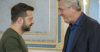 UNHCR miraton 100 milionë dollarë për Ukrainën