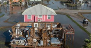 Uragani “Beryl” godet jugun e SHBA-së, raportohet për 8 të vdekur