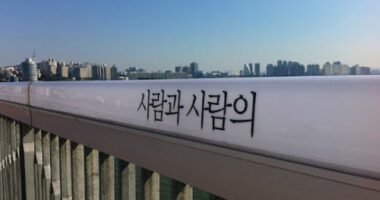 Kore e Jugut/ Politikani fajëson gratë për rritjen e vetëvrasjeve të burrave