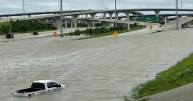 Uragani “Beryl” gjunjëzon Teksasin, 3 viktima