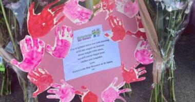 Sulmi në Britani/ Një tjetër vajzë e mitur humb jetën pas plagëve të marra me thikë