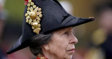 Tre javë pas lëndimit, Princesha Anne kthehet në detyrat e saj