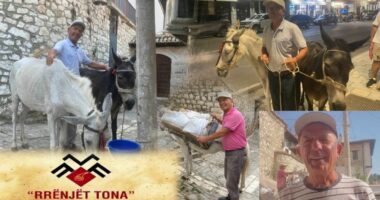 Sazan Guri ‘lë’ akademinë dhe ‘zë’ mushkat, ngujohet në Berat për të ndërtuar shtëpinë e të parëve