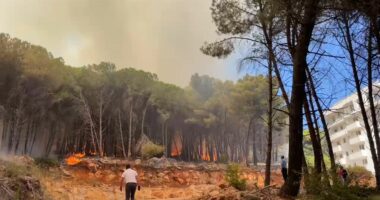 Rreth 300 efektivë të FA dhe 100 forca bashkiake të angazhuar për shuarjen e flakëve, si paraqitet situata nga zjarret në Lezhë